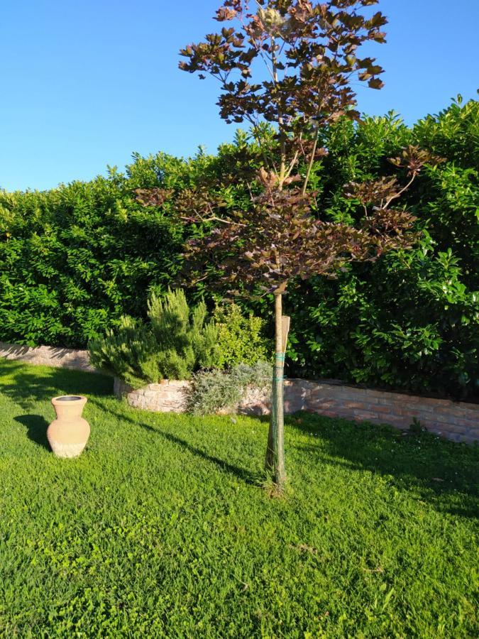 Soggiorno In Relax Correggioverde 외부 사진